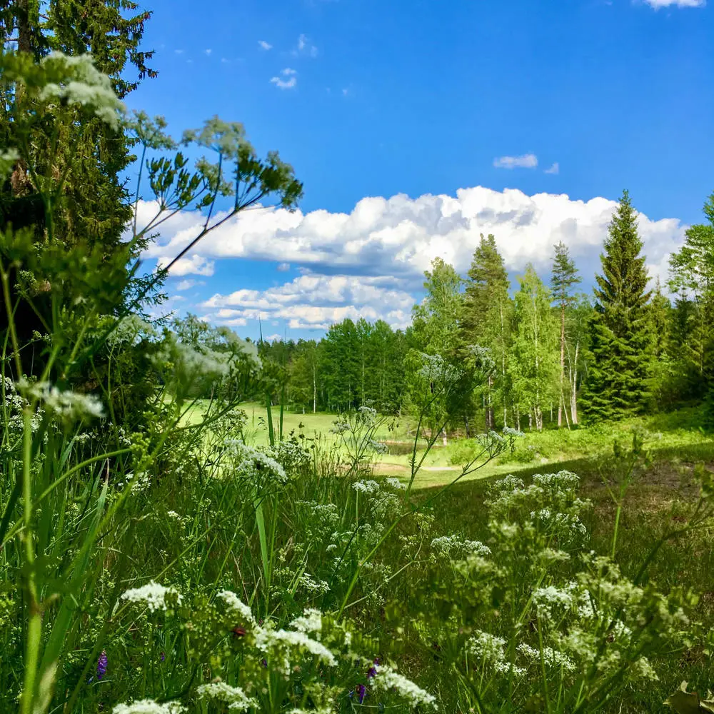 Botkyrka GK, bilde 2