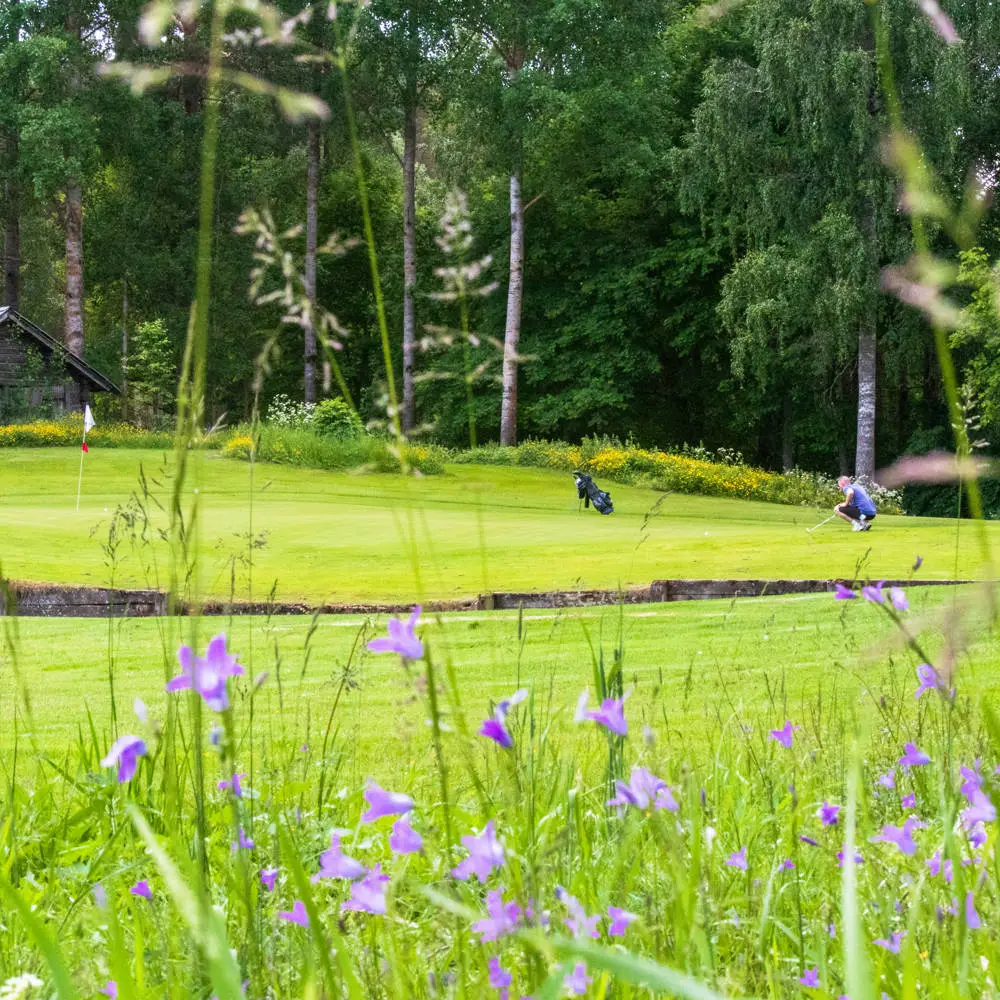 Dalsjö Golf