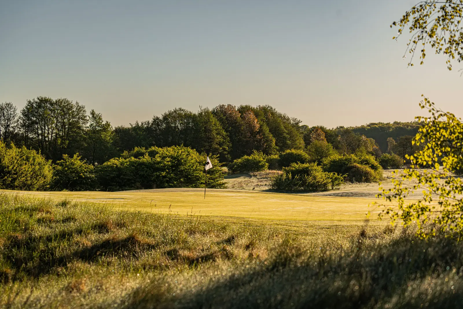 Elisefarm Golf Club, bilde 2
