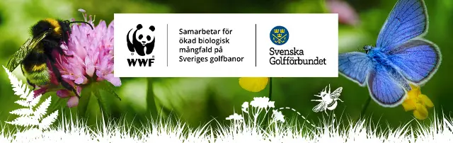 Gränna Golfklubb, bilde 2