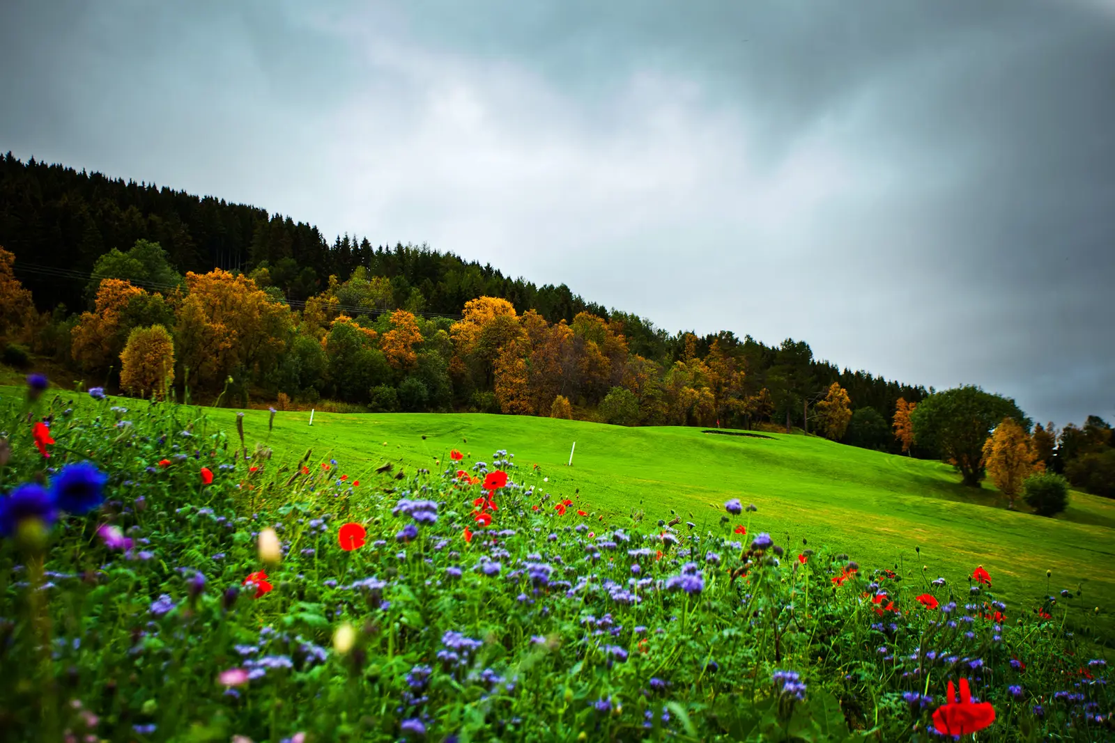 Harstad Golfklubb