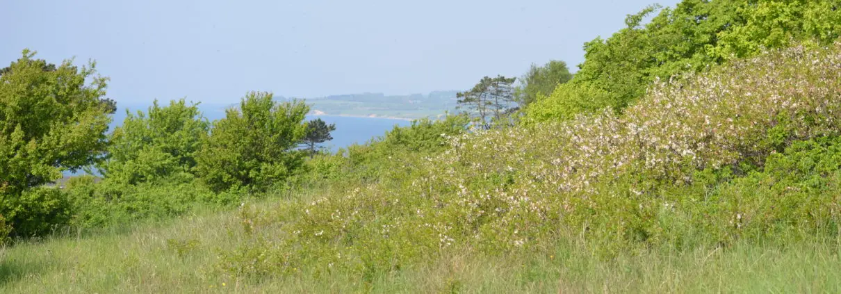 Kalundborg Golfklub, bilde 3