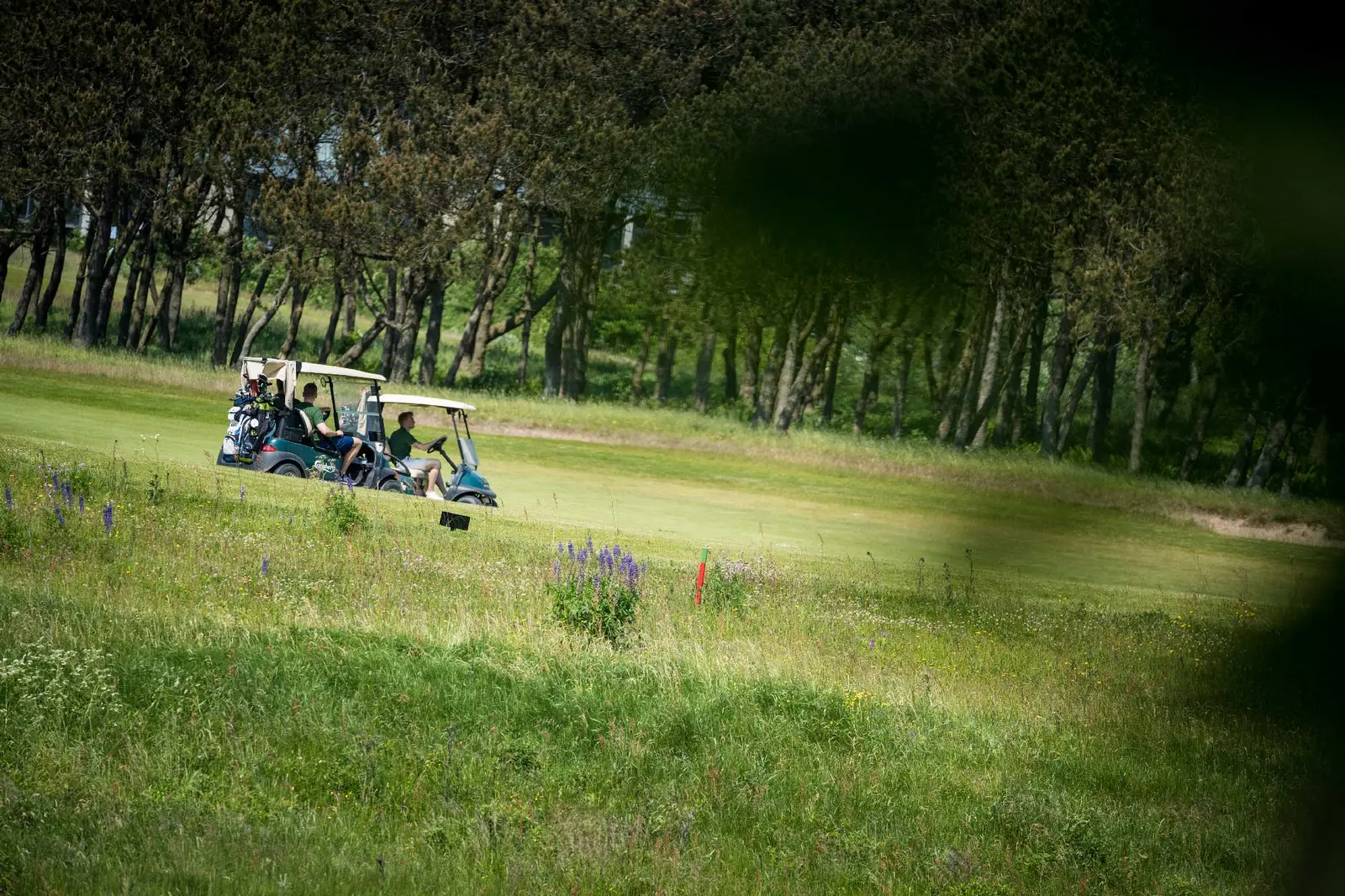 Lubker Golf Resort, bilde 2