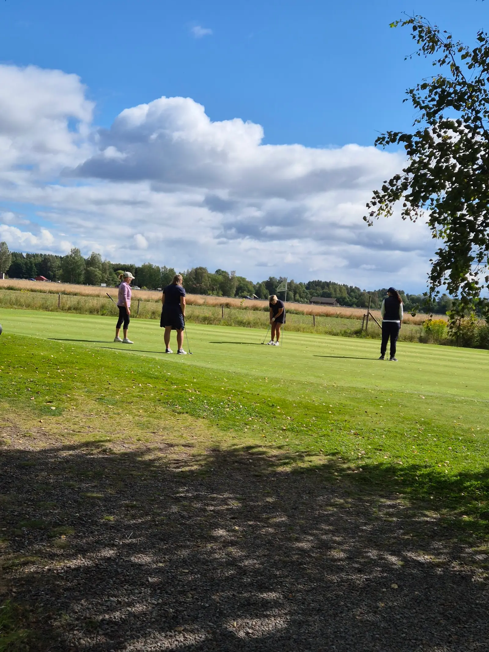Mackmyra Golf, bilde 2