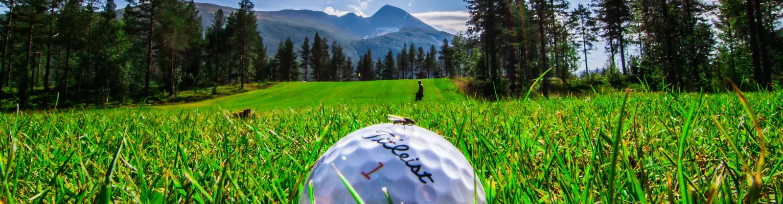 Midt-Troms Golfklubb, bilde 3