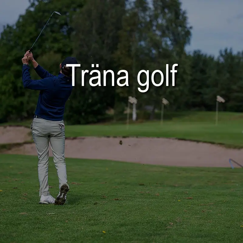 Skinnarebo Golf & Country Club, bilde 2