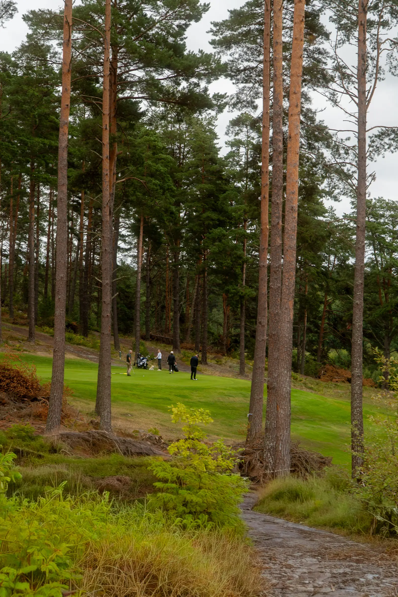 Tjulsta Golfklubb, bilde 2