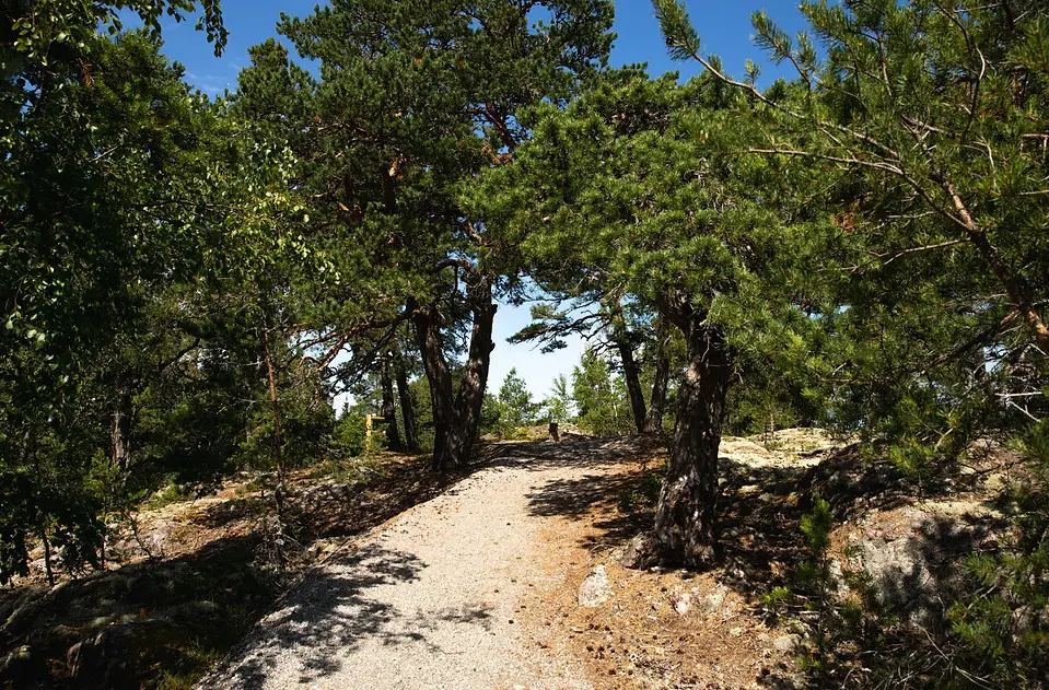 Väddö Golfklubb