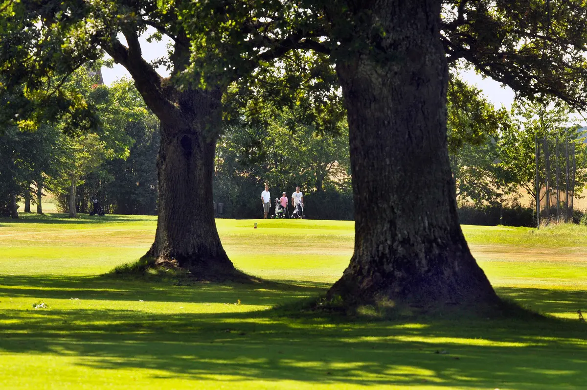 Vadstena Golfklubb, bilde 2