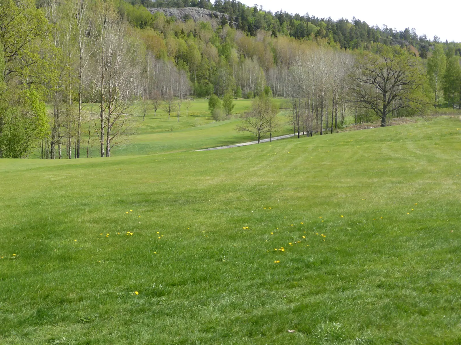 Viksbergs Golfklubb