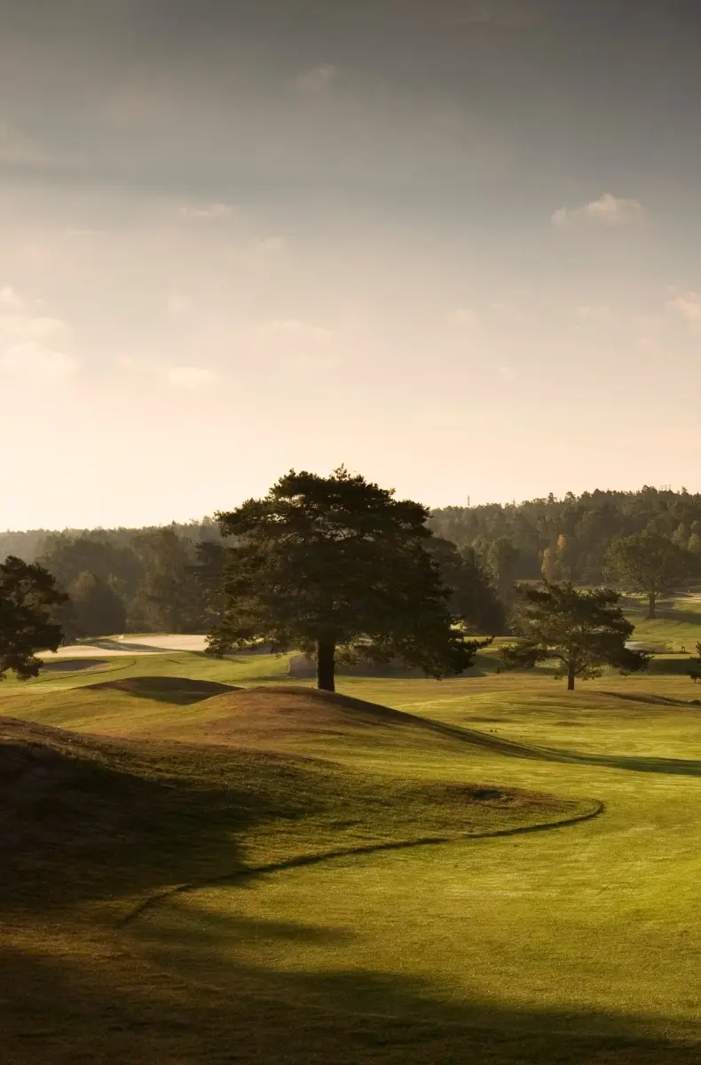 Wermdö Golf and Country Club, bilde 2